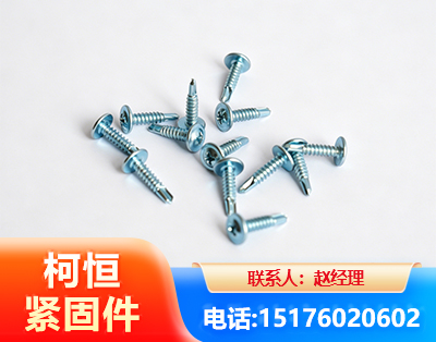 拉萨华司钻尾丝